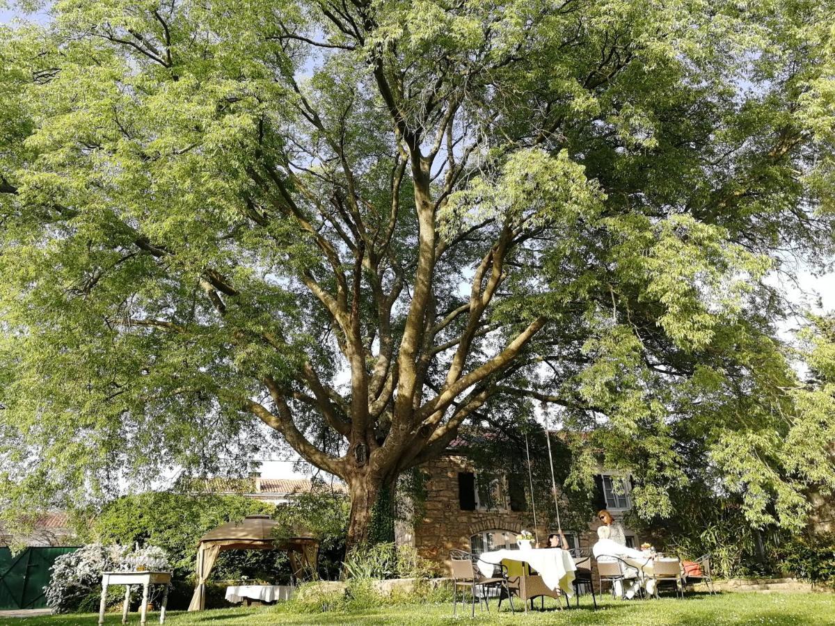Boutique B&B Stancija 1904 Adults Only สเวตวินเชนัต ภายนอก รูปภาพ